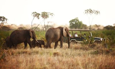 Smokesilver Luxury African Travel Joins The Luxury Network UK