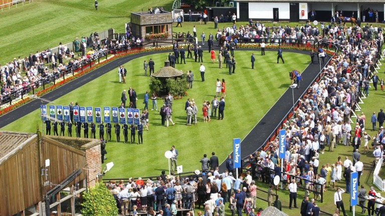 Newmarket Racecourses